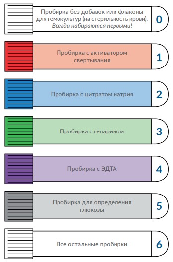 пробирки по цветам.jpg пробирки по цветам.jpg